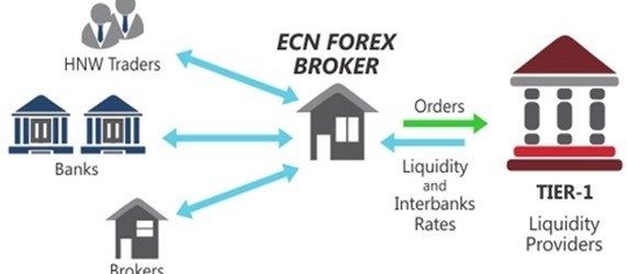 True ecn forex brokers list