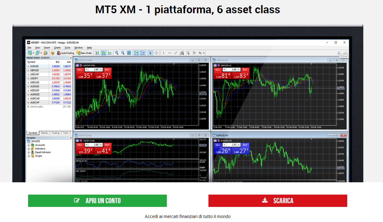 XM mt5