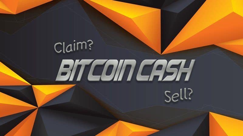 Bitcoin Cash Cosa Sono E C!   ome Funzionano Meteofinanza Com - 