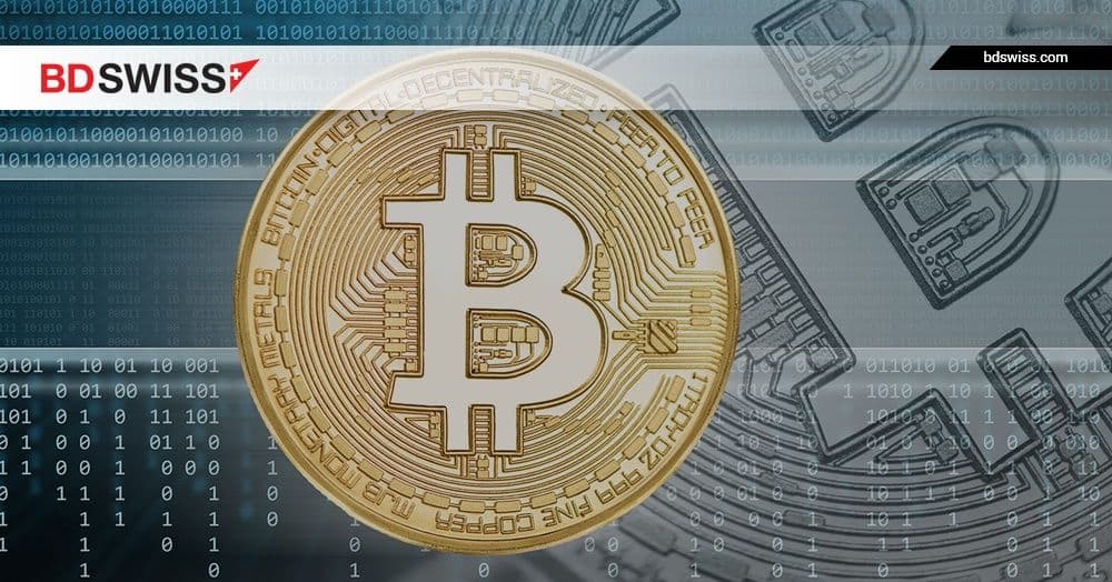 bitcoin rejoin recensioni
