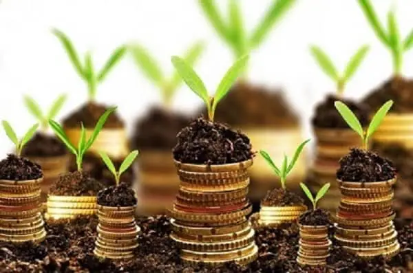 Invista pequenas quantias online