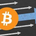 Tassazione Bitcoin: come si deve pagare nella dichiarazione dei redditi