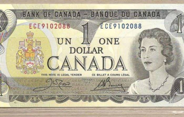 Cambio Valuta Dollaro Canadese A Euro