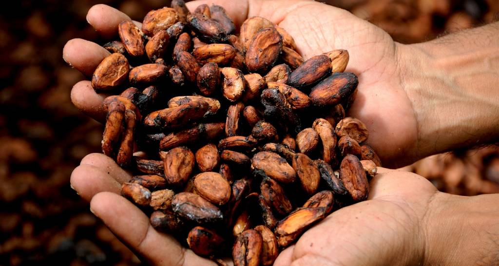 Trading Cacao