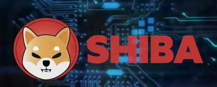 Comprare Shiba Inu