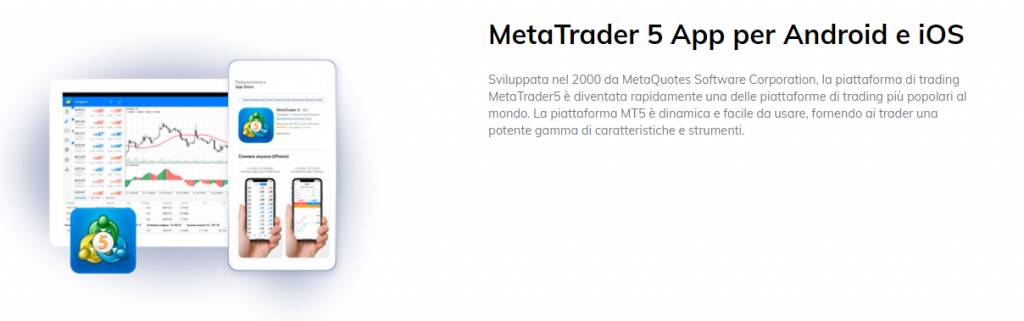 MT5 NSBroker